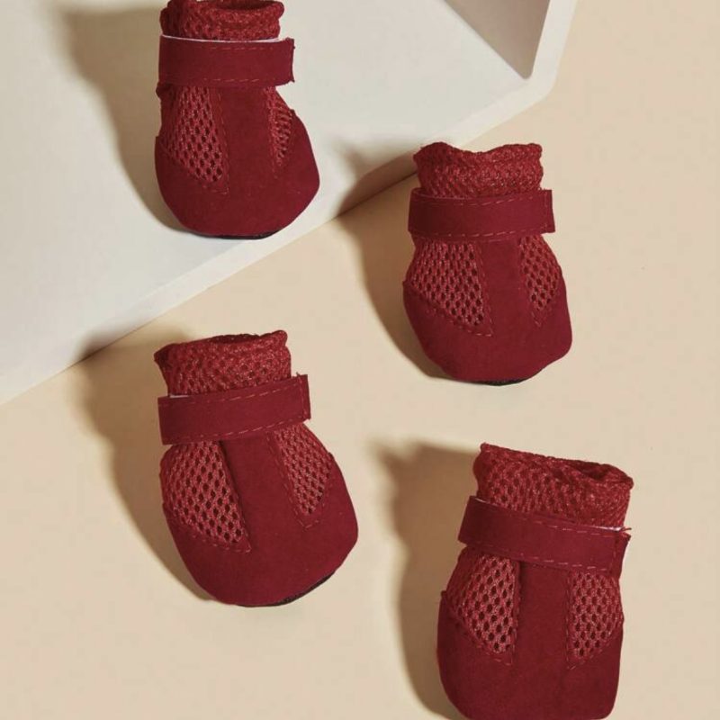 Red Pet Shoes