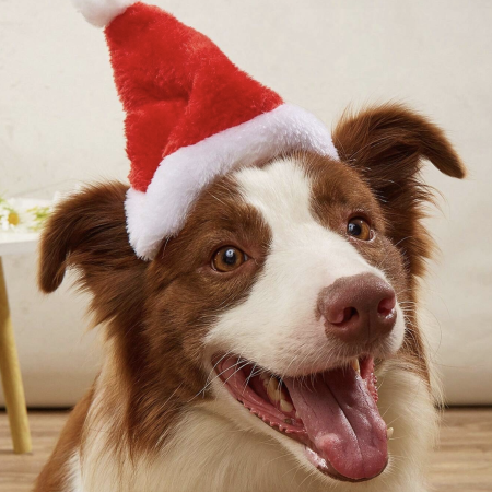 Christmas Hat