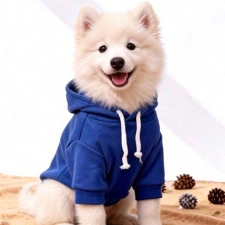Pet Hoodie